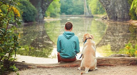 Dog is human - bonding. Humans and dogs have had a special bond for thousands of years—we see it in the way dogs work, play, and live with us. Most experts agree that this relationship developed when the wolf ...